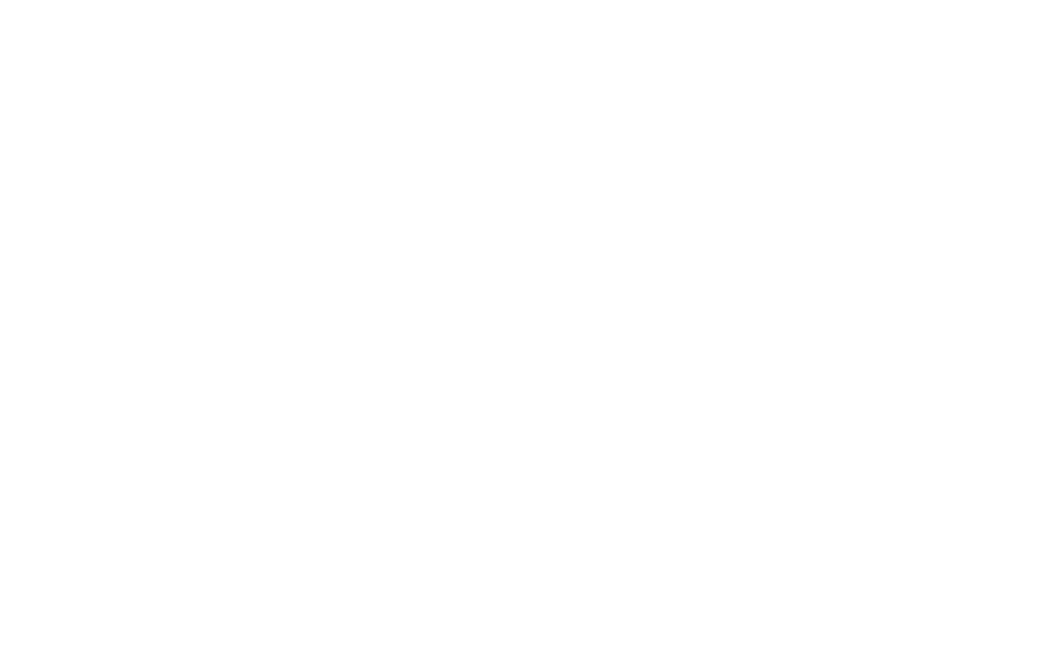 New History Logo